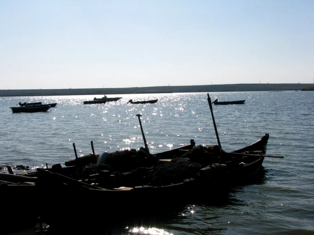 calarasi dor