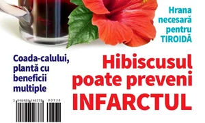 1 coperta 8 buna jpg jpeg