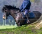 *EXCLUSIVE* **STOCK IMAGES** HRH Prince Edward riding along the banks of the River Thames in Windsor jpeg