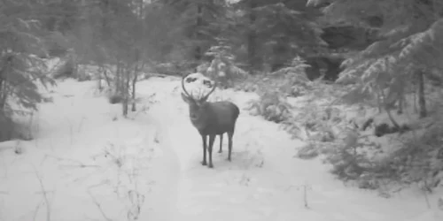 5aa94b71df52022f758d9795 jpg