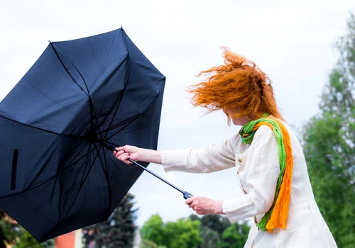 Vant furtuna umbrela FOTO Shutterstock