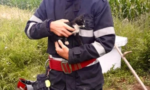 pompierul razvan pisicul petrica jpeg