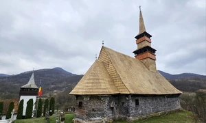 Satul Curechiu, comuna Bucureșci din Hunedoara. Foto Daniel Guță. ADEVĂRUL (19) jpg
