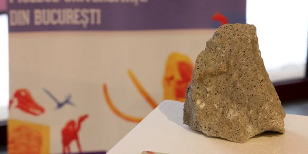 Roca Dacit denumită după Dacia. FOTODino Parc