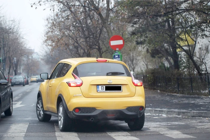 Lavinia Parva intră cu mașina pe interzis