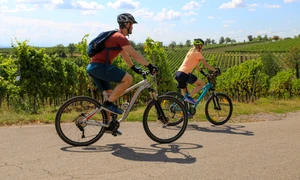 shutterstock 2452533345 jpg