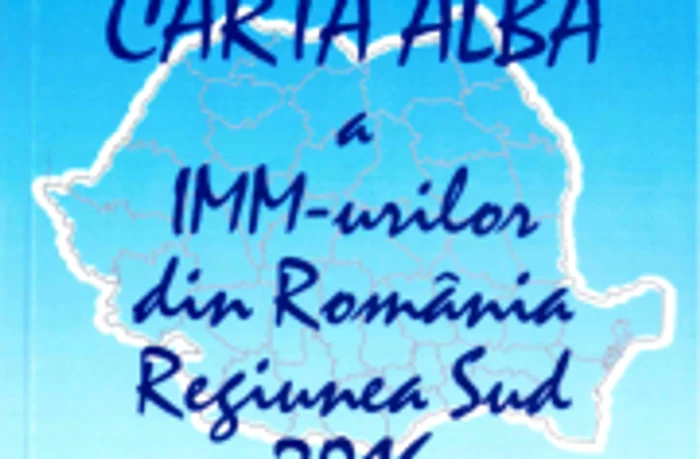 Evenimentul a reunit reprezentanţi ai mediului de afaceri aparţinând  FRIMM, CECCAR, ai autorităţilor locale, lideri de organizaţii patronale şi reprezentanţi ai instituţiilor financiar-bancare