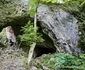 Pestera Găunoasa Hunedoara Foto Daniel Guță ADEVĂRUL (89) jpg