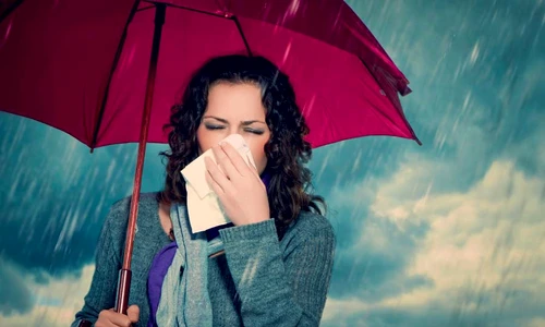 1 55280 original jpg jpeg