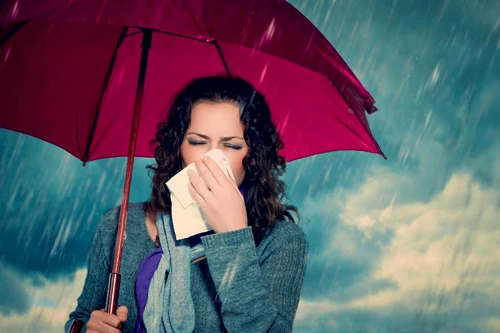 1 55280 original jpg jpeg