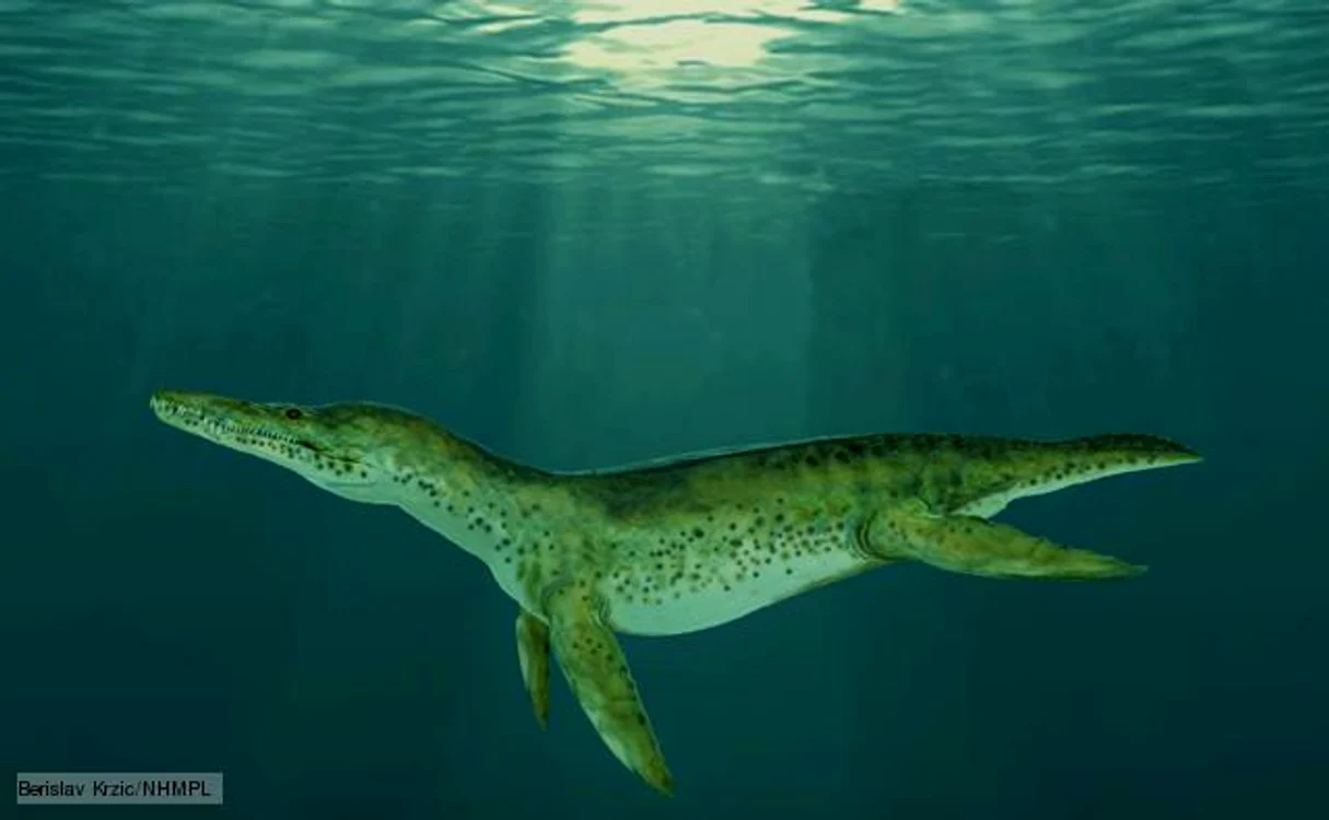 Pliosaur (Foto: BBC)