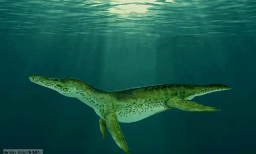 Pliosaur (Foto: BBC) jpeg