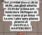 Gina Pistol a pierdut avionul 