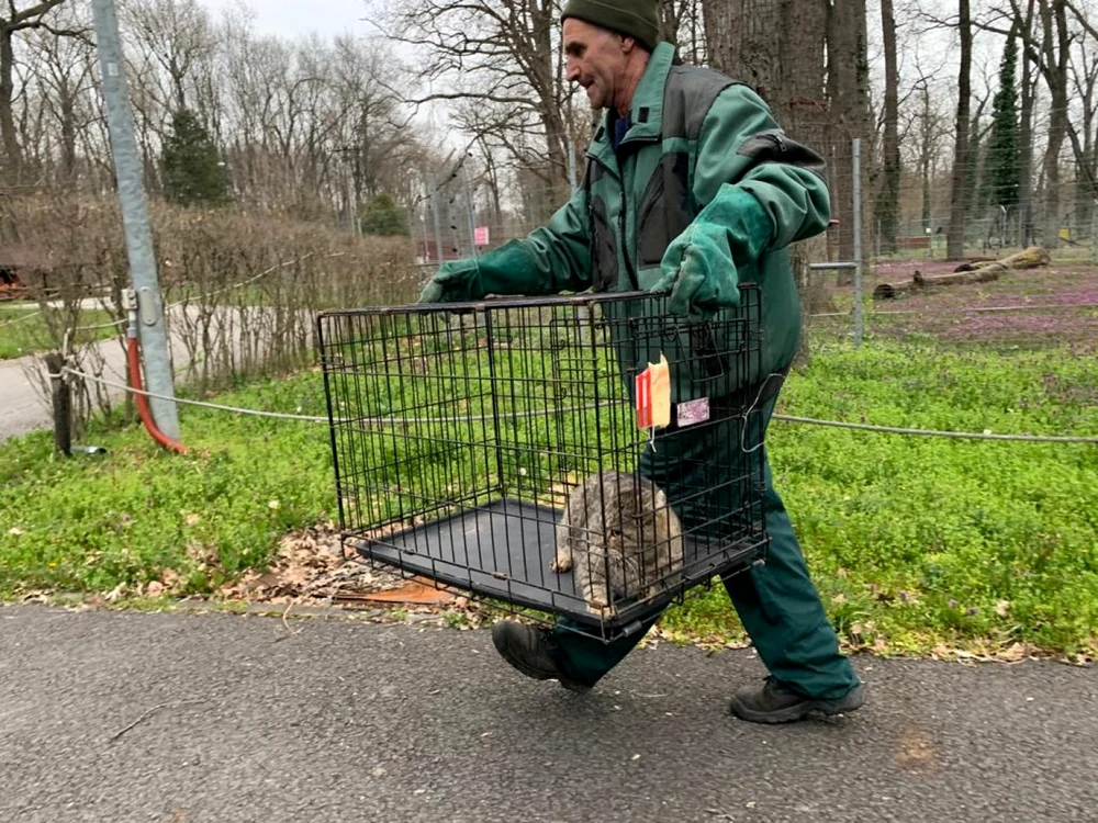 Grădina zoo Timişoara