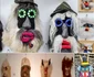 Măștile ritualice la români Colaj YouTube