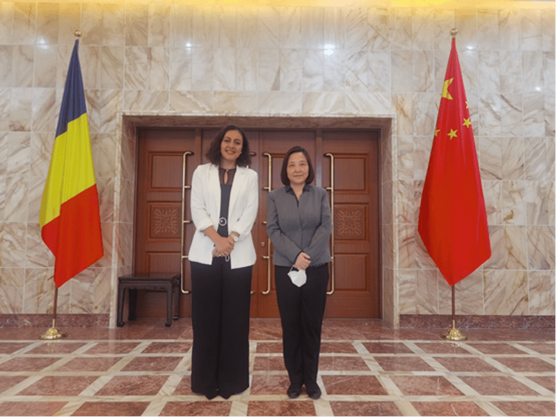 Dincolo de politică și geopolitică. „Limba culturii” dintre România și China