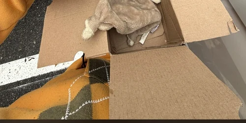 teapa OLX bunsursa Reddit jpg