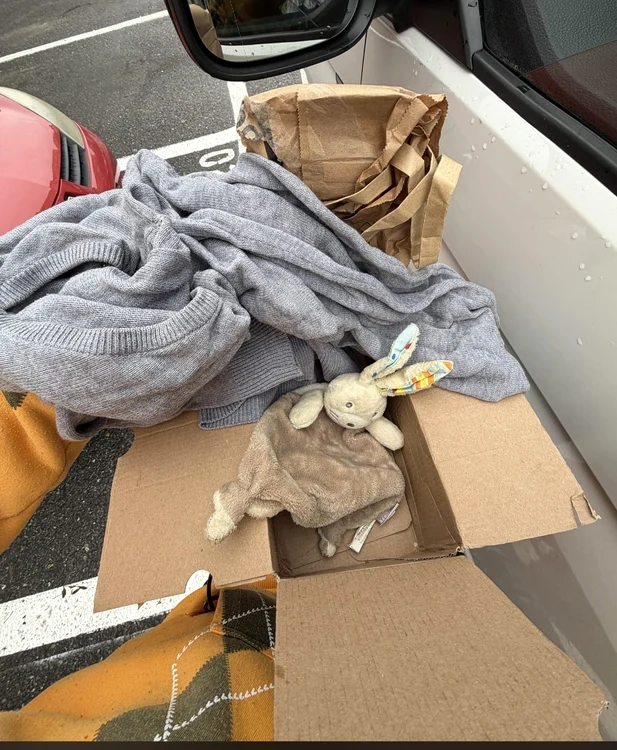 Țepe pe Vinted. FOTO Reddit