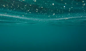 ocean 1845110 1280 jpg
