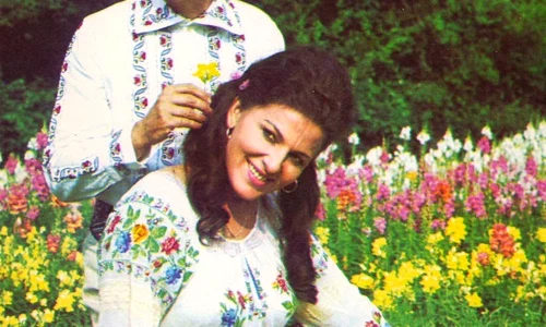 sinulescu loghin jpeg