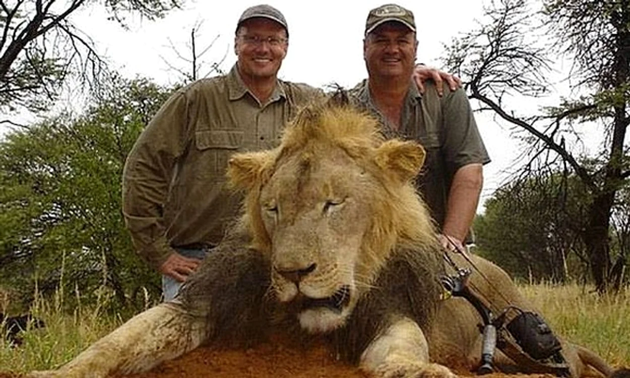 Faimosul leu Cecil a fost omorât de stomatologul american Walter Palmer