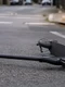 accident trotineta jpg