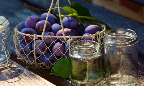 plums 1649305 960 720 jpeg