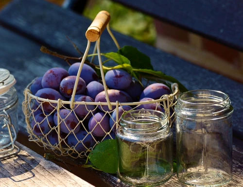 plums 1649305 960 720 jpeg