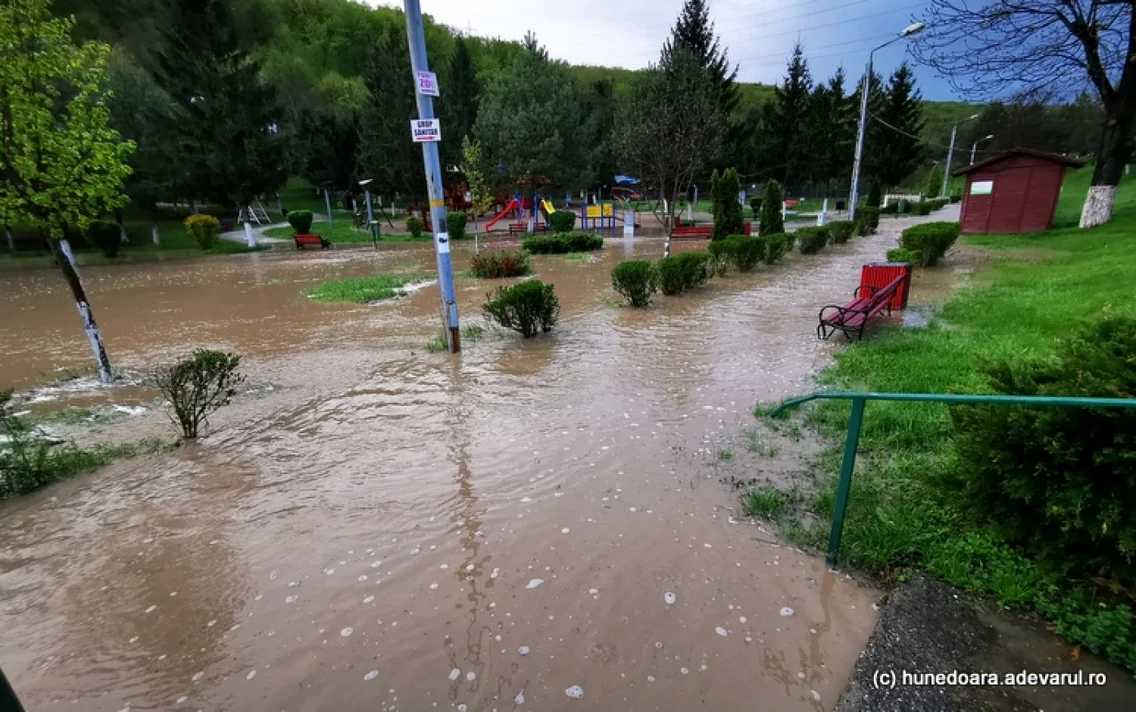 pafcul bejan inundat foto daniel guta adevarul