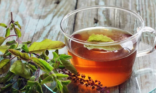 busuioc sfant tulsi jpg