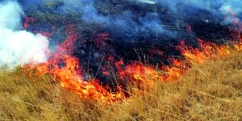 Flăcările  s-au extins la o gospodărie din apropiere