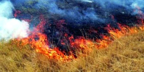 Flăcările  s-au extins la o gospodărie din apropiere