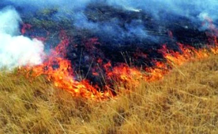 Flăcările s-au extins la o gospodărie din apropiere