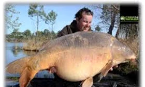 ai primit un peste mare 3 jpeg