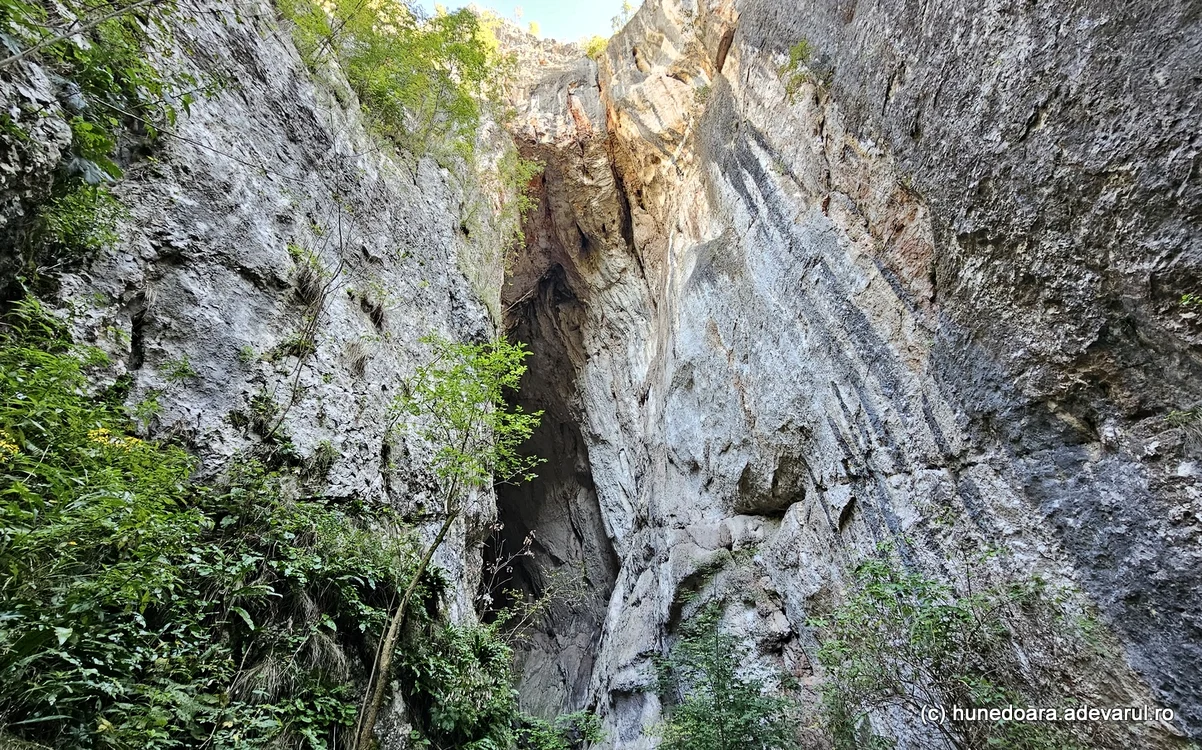 Peștera Șura mare din Hunedoara. Foto: Daniel Guță. ADEVĂRUL