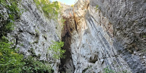Pestera Șurea Mare din Hunedoara  Foto Daniel Guță  ADEVĂRUL (38) jpg