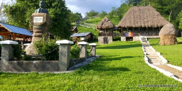 tara zarandului