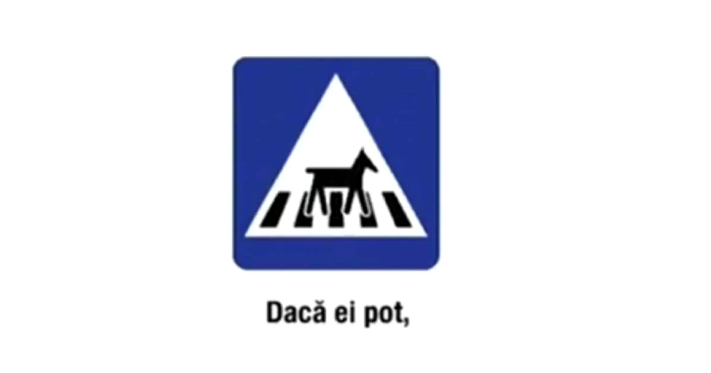 Poliţia Rutieră a lansat o campanie de promovare a traversării regulamentare FOTO Captură politiarutiera.ro