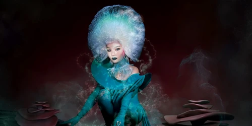 Bjork Fossora