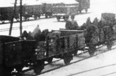 Marșurile morții din lagărele naziste: Auschwitz, Dachau, Jaworzno jpeg