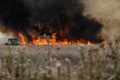 Incendiu de vegetatie langa localitatea Magurele din Ilfov  Foto Inquam Photos George Calin (4) jpg