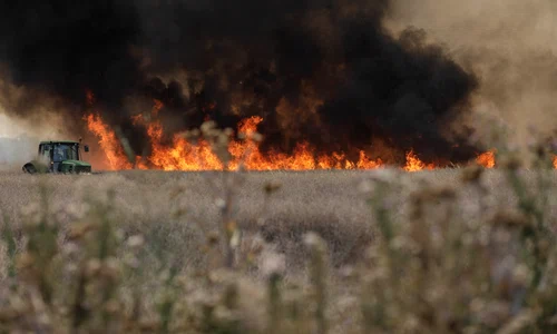 Incendiu de vegetatie langa localitatea Magurele din Ilfov  Foto Inquam Photos George Calin (4) jpg
