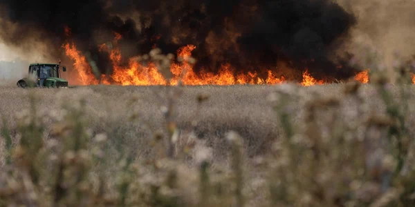Incendiu de vegetatie langa localitatea Magurele din Ilfov Foto Inquam Photos George Calin (4) jpg
