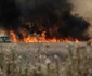 Incendiu de vegetatie langa localitatea Magurele din Ilfov  Foto Inquam Photos/George Calin