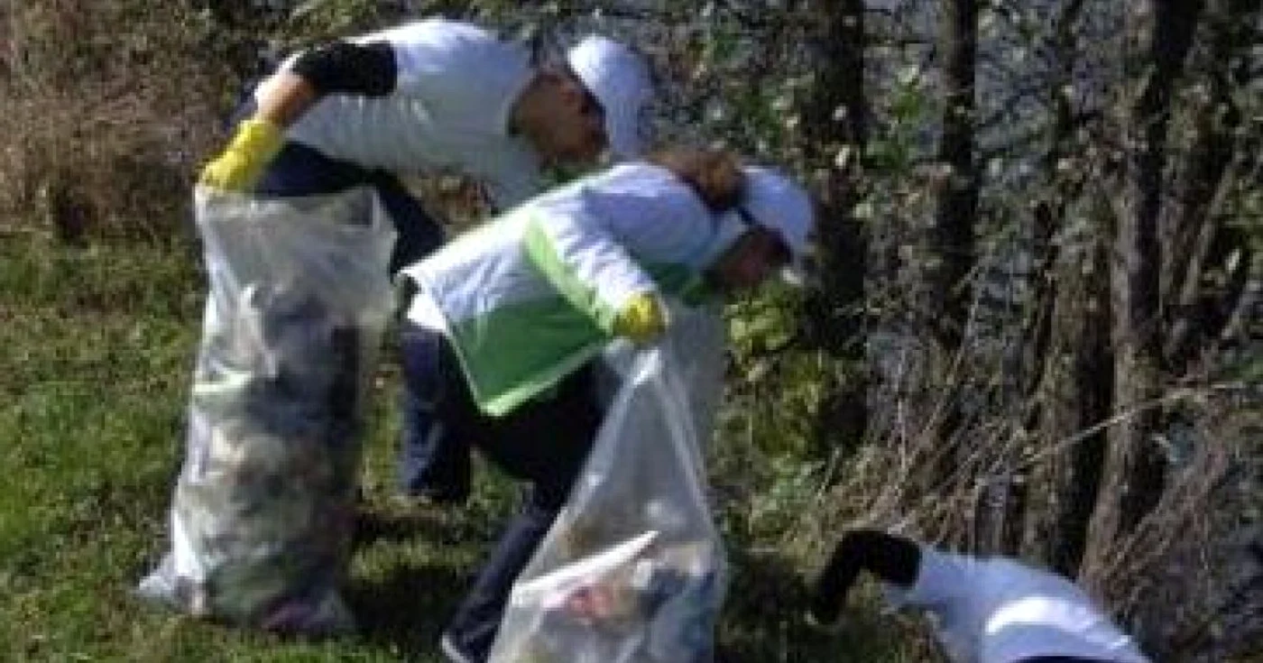 Ploieşti: Acţiune de ecologizare