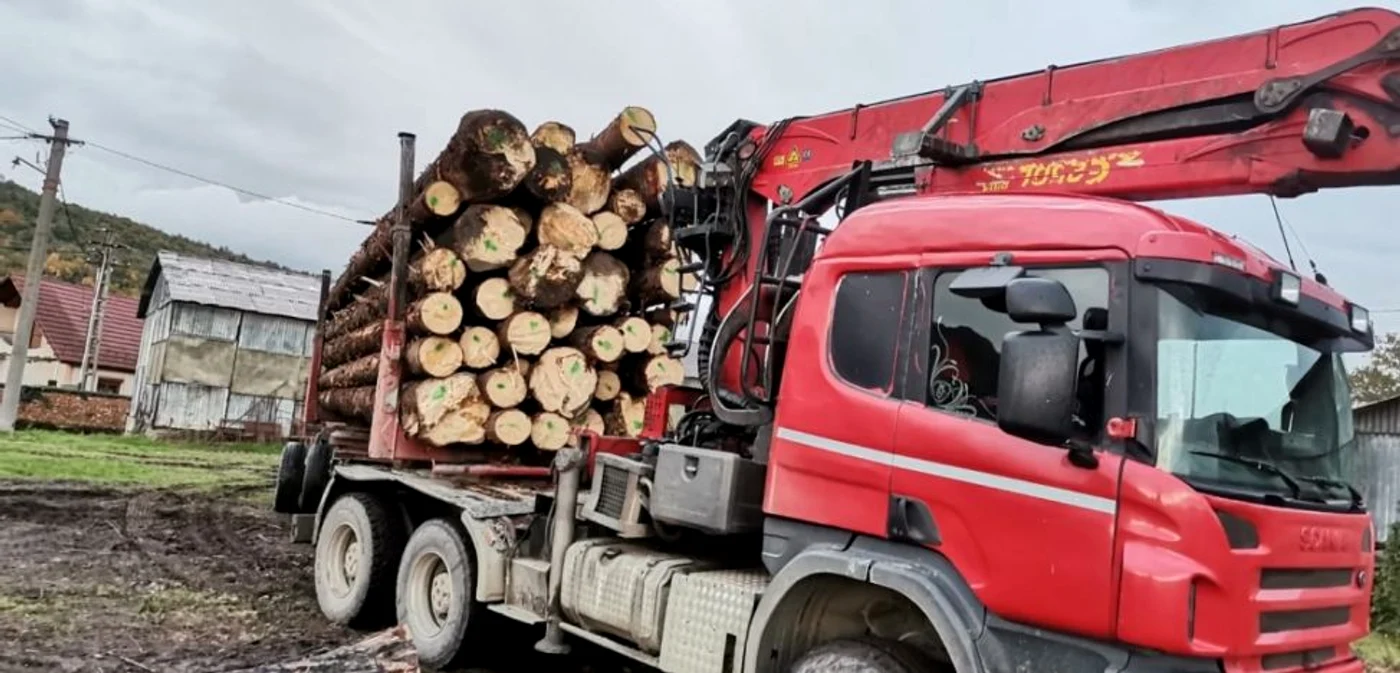 Transport multiplu de lemne cu acelaşi aviz de însoţire a mărfii în Sibiu Foto Adevărul