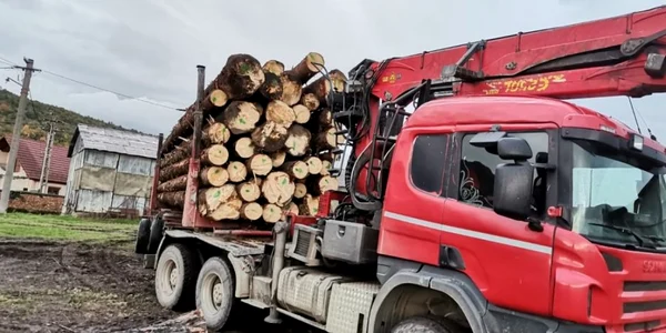 Transport multiplu de lemne cu acelaşi aviz de însoţire a mărfii în Sibiu Foto Adevărul