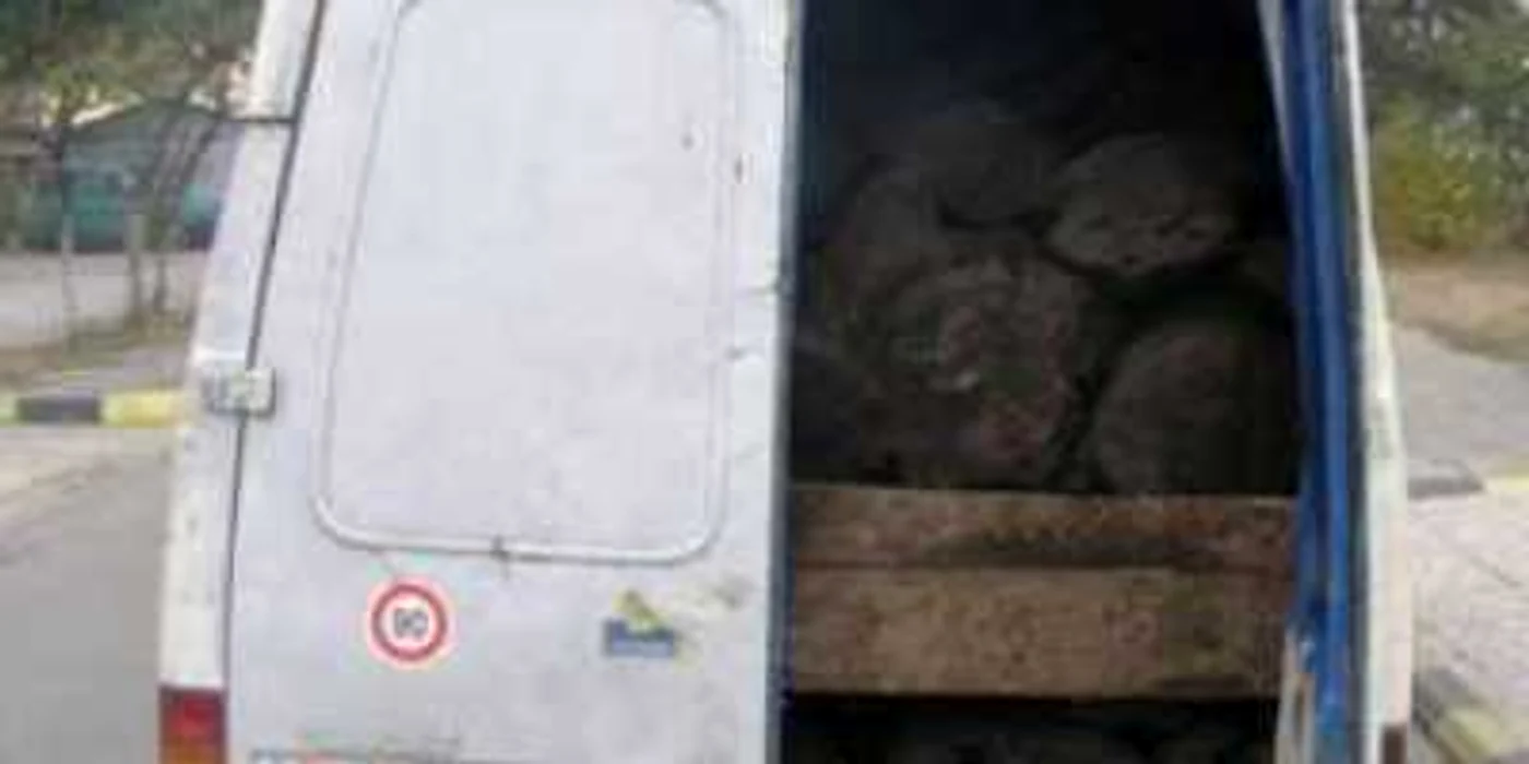Maşina era special adaptată pentru a transporta cărbune