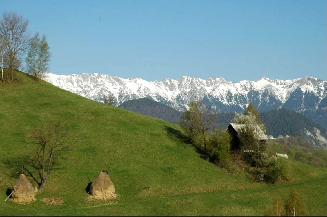 piatra craiului