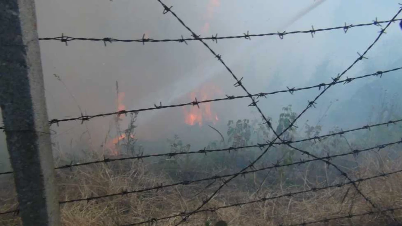 Cel mai violent incendiu de pădure a fost pe Muntele Cozia